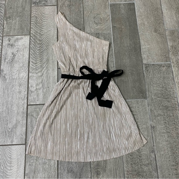 Express Dresses & Skirts - Express Dress
